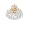Cwi Lighting Princess 8 Light Down Chandelier With Gold Finish 8012P20G - alternate 5